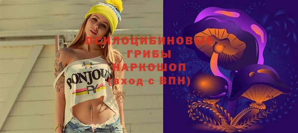 дурь Нягань